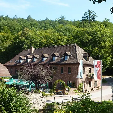 Hotel Hotelgasthof Buchenmuehle 3*