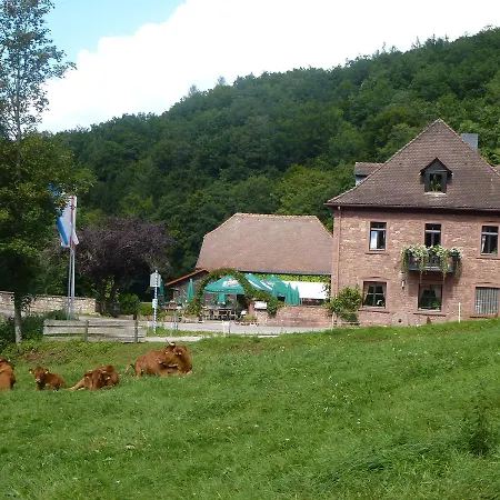 Hotelgasthof Buchenmuehle 3* Lohr