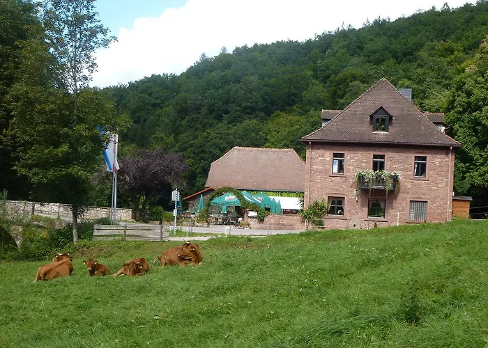 Hotelgasthof Buchenmuehle 3* Lohr