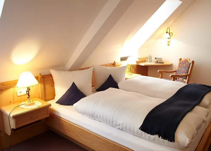 Hotelgasthof Buchenmuehle 3*